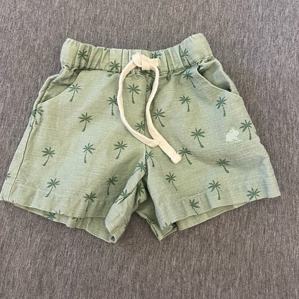 BabyCottons Palm Tree Shorts